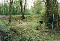 Le site de Sainte-Geneviève en 1996. A droite on distingue le ruisseau bien curé et l’aqueduc.