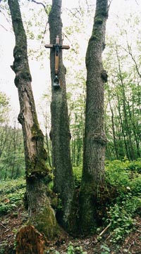 Les trois aulnes du lieu, la croix et la niche abritant la statuette.