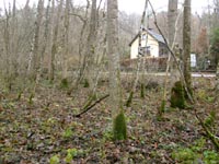 Le site de Sainte-Geneviève en 1996. A droite on distingue le ruisseau bien curé et l’aqueduc.