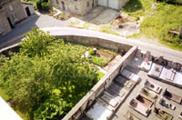 Le jardin du presbytère (verger et potager) et une partie du cimetière (côté ouest) vus du clocher de l’église (photo Claude Feuchaux, 1994).