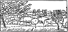 L'Ile-de-France est un jardin - Dessin de G. Delaw L'Ile-de-France est un jardin - Dessin de G. Delaw
