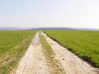 « Le chemin des morts » qu’empruntaient il y a bien des siècles les convois funèbres pour venir enterrer à Tohogne les défunts provenant de villages éloignés (par ex. Harre). 