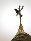L'église... et les oiseaux.